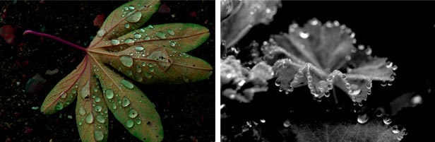 Autumn Impressions - photography Anna Kendler