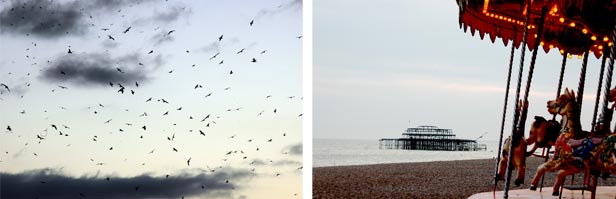 Along the coast - photography
