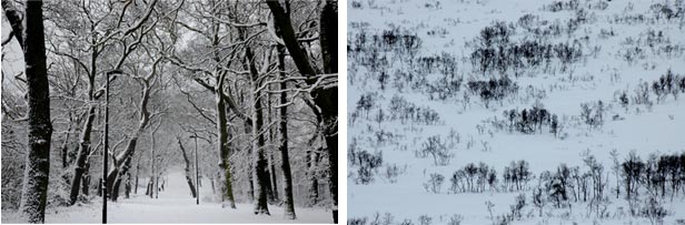 Winter wonderland - photography Anna Kendler